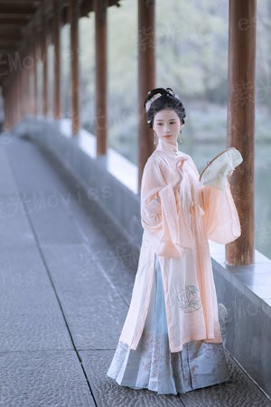 爆萌儿子贪财娘亲